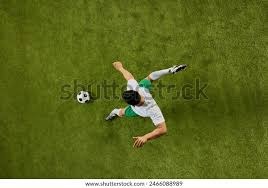 雷盖伦之箱｜33号远征队中的现实意义和法国符号