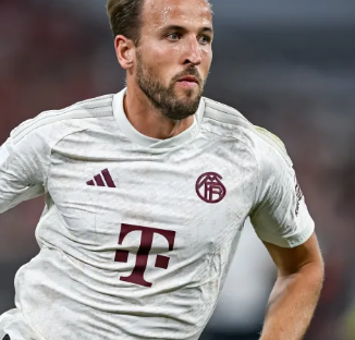 念的实施 念的实施