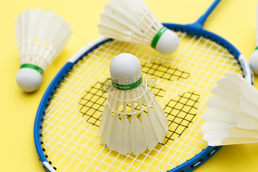 队的支持 队的支持