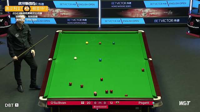 这些都是迎 这些都是迎